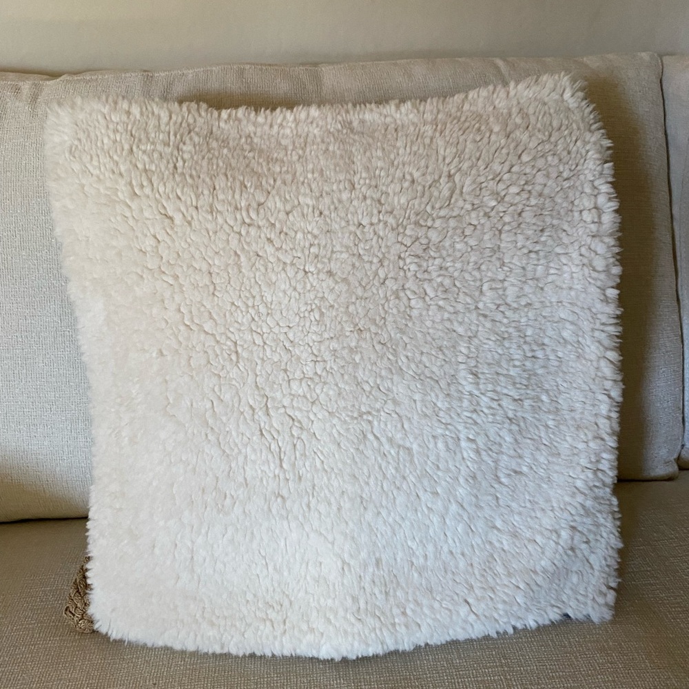 Pottery Barn Pillow Cover